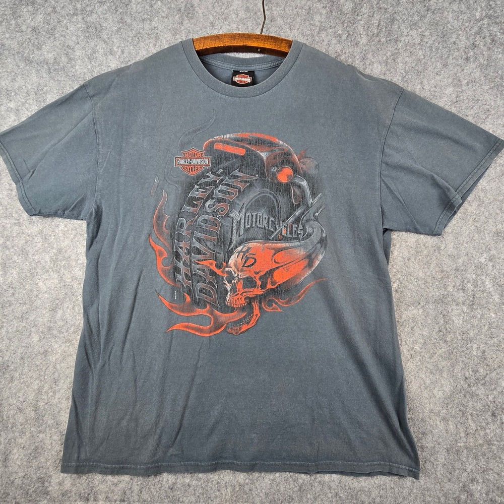 Harley Davidson T Shirt Mens XL Gray Rochester MN Skull Flames Graphic Biker Tee